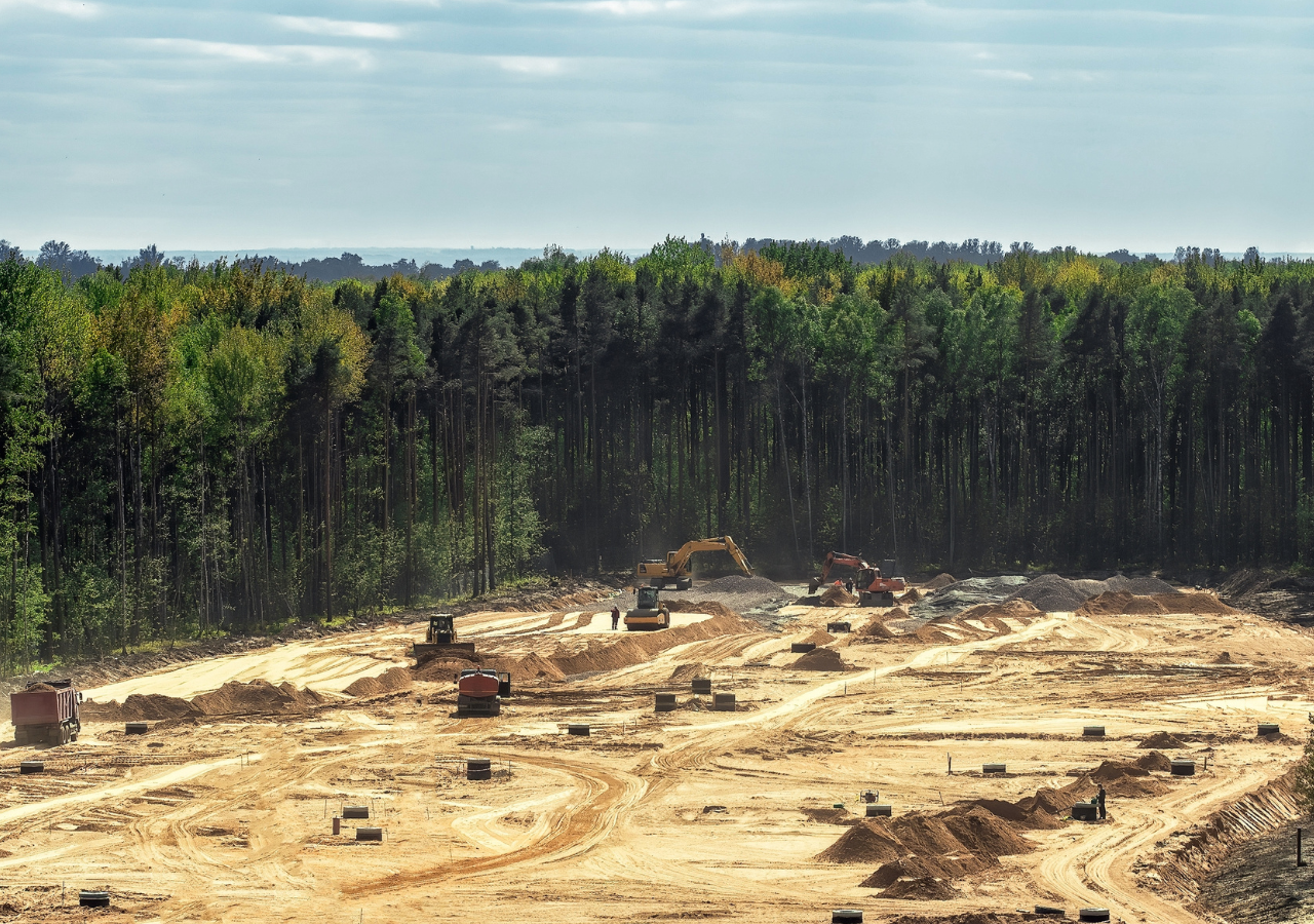Potravinářská komora ČR vyzvala europoslance, aby znovu odložili sporné nařízení proti odlesňování 